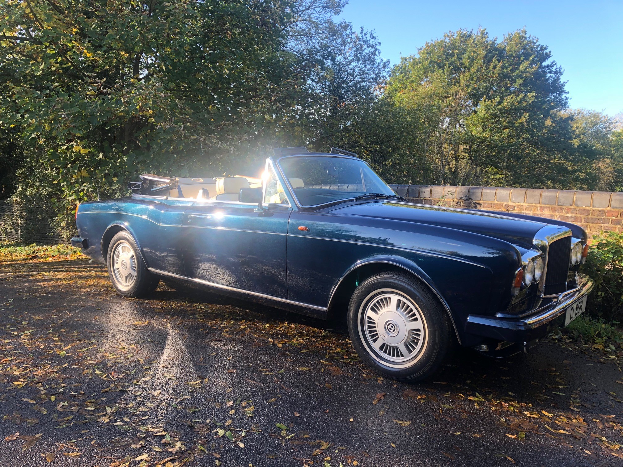 87 Convert side.roof down